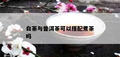 白茶与普洱茶可以搭配煮茶吗