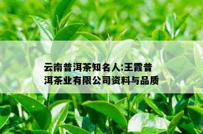 云南普洱茶知名人:王霞普洱茶业有限公司资料与品质