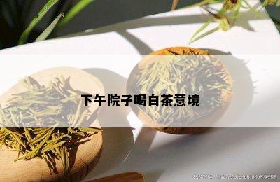 下午院子喝白茶意境