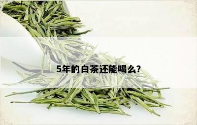 5年的白茶还能喝么？