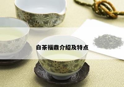 白茶福鼎介绍及特点