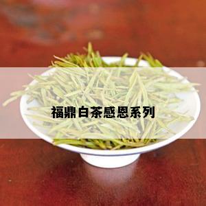 福鼎白茶感恩系列