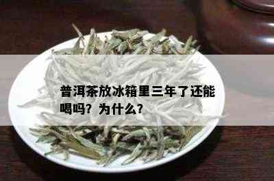 普洱茶放冰箱里三年了还能喝吗？为什么？