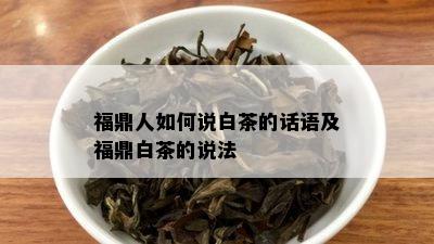 福鼎人如何说白茶的话语及福鼎白茶的说法