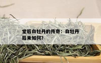 堂后白牡丹的传奇：白牡丹后来如何？