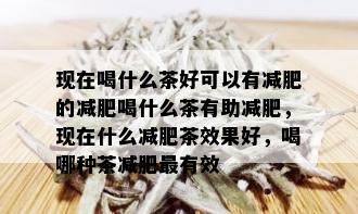 现在喝什么茶好可以有减肥的减肥喝什么茶有助减肥，现在什么减肥茶效果好，喝哪种茶减肥最有效