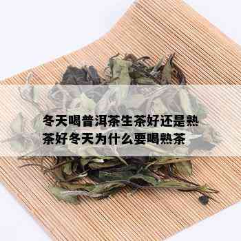 冬天喝普洱茶生茶好还是熟茶好冬天为什么要喝熟茶