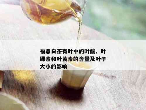 福鼎白茶有叶中的叶酸、叶绿素和叶黄素的含量及叶子大小的影响