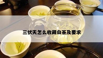 三伏天怎么收藏白茶及要求