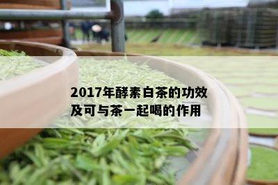 2017年酵素白茶的功效及可与茶一起喝的作用