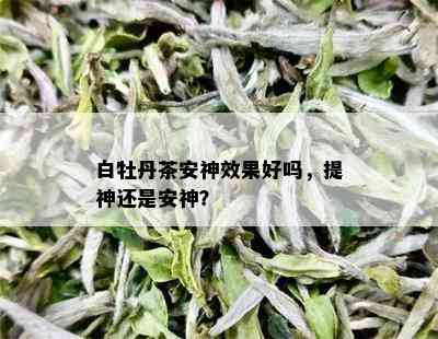 白牡丹茶安神效果好吗，提神还是安神？