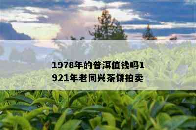 1978年的普洱值钱吗1921年老同兴茶饼拍卖