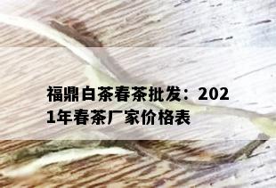 福鼎白茶春茶批发：2021年春茶厂家价格表