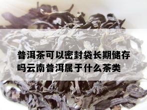 普洱茶可以密封袋长期储存吗云南普洱属于什么茶类