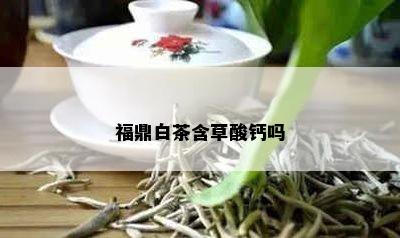 福鼎白茶含草酸钙吗