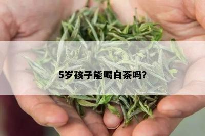 5岁孩子能喝白茶吗？