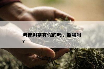 鸿普洱茶有假的吗，能喝吗？