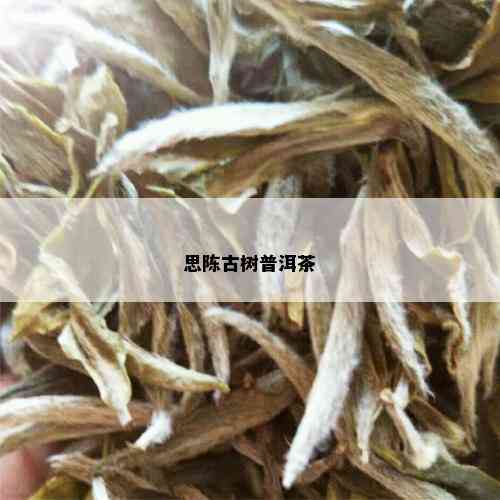 思陈古树普洱茶