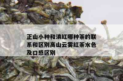 正山小种和滇红哪种茶的联系和区别高山云雾红茶水色及口感区别