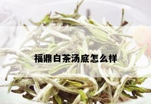 福鼎白茶汤底怎么样