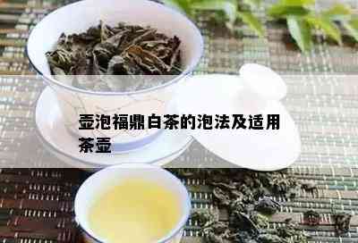 壶泡福鼎白茶的泡法及适用茶壶