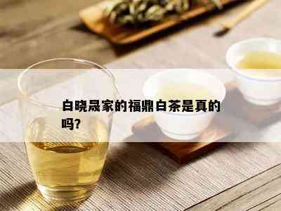 白晓晟家的福鼎白茶是真的吗？