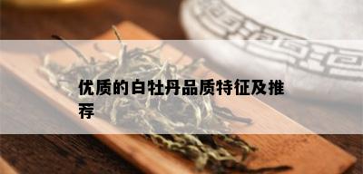 优质的白牡丹品质特征及推荐