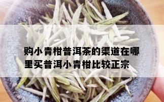 购小青柑普洱茶的渠道在哪里买普洱小青柑比较正宗