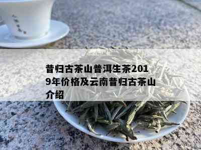 昔归古茶山普洱生茶2019年价格及云南昔归古茶山介绍