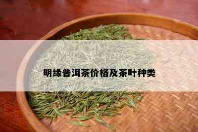 明缘普洱茶价格及茶叶种类