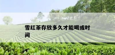 雪红茶存放多久才能喝或时间