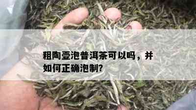 粗陶壶泡普洱茶可以吗，并如何正确泡制？