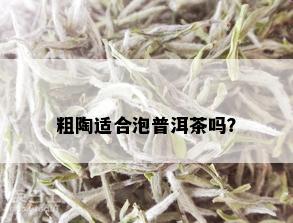 粗陶适合泡普洱茶吗？