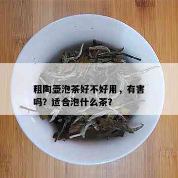 粗陶壶泡茶好不好用，有害吗？适合泡什么茶？