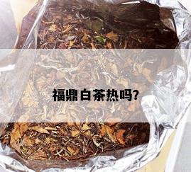 福鼎白茶热吗？