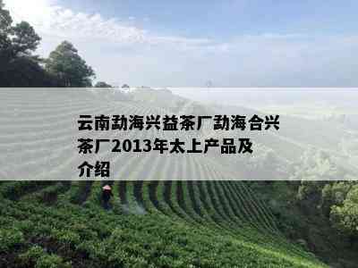 云南勐海兴益茶厂勐海合兴茶厂2013年太上产品及介绍