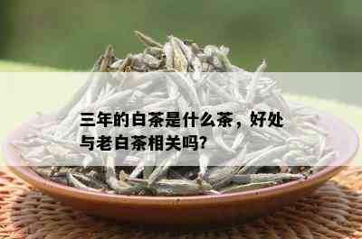 三年的白茶是什么茶，好处与老白茶相关吗？