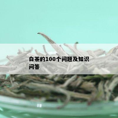 白茶的100个问题及知识问答