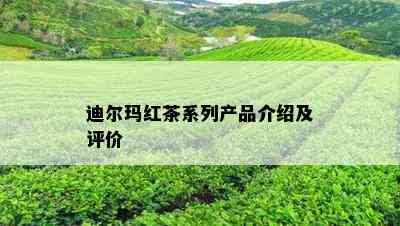 迪尔玛红茶系列产品介绍及评价