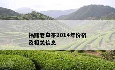 福鼎老白茶2014年价格及相关信息