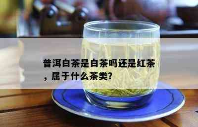 普洱白茶是白茶吗还是红茶，属于什么茶类？