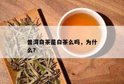 普洱白茶是白茶么吗，为什么？