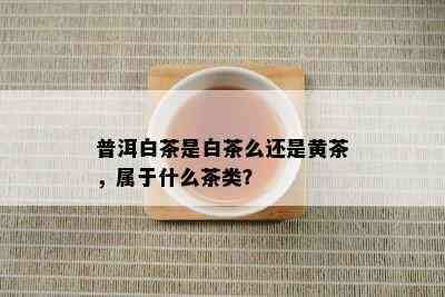 普洱白茶是白茶么还是黄茶，属于什么茶类？