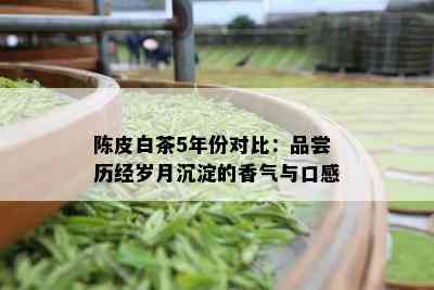 陈皮白茶5年份对比：品尝历经岁月沉淀的香气与口感