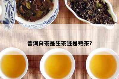 普洱白茶是生茶还是熟茶？