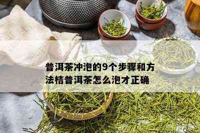 普洱茶冲泡的9个步骤和方法桔普洱茶怎么泡才正确