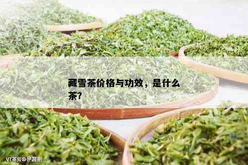 藏雪茶价格与功效，是什么茶？