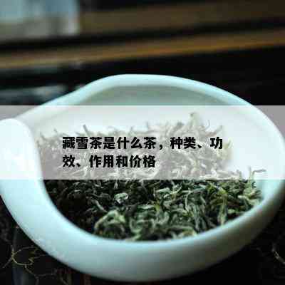 藏雪茶是什么茶，种类、功效、作用和价格