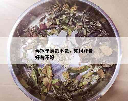 碎银子茶贵不贵，如何评价好与不好