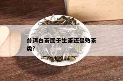 普洱白茶属于生茶还是熟茶类？